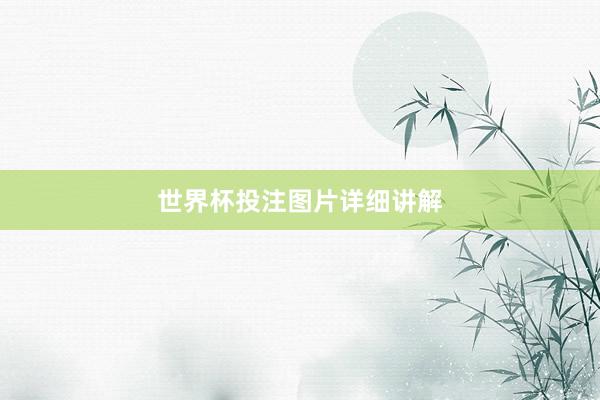 世界杯投注图片详细讲解