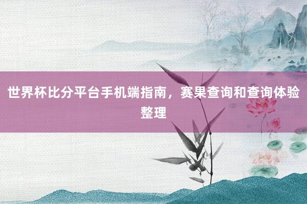 世界杯比分平台手机端指南，赛果查询和查询体验整理