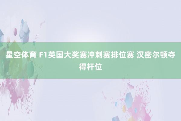 星空体育 F1英国大奖赛冲刺赛排位赛 汉密尔顿夺得杆位